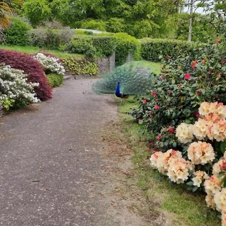 Great Trethew - Self Catering - Bar & Restaurant 4*